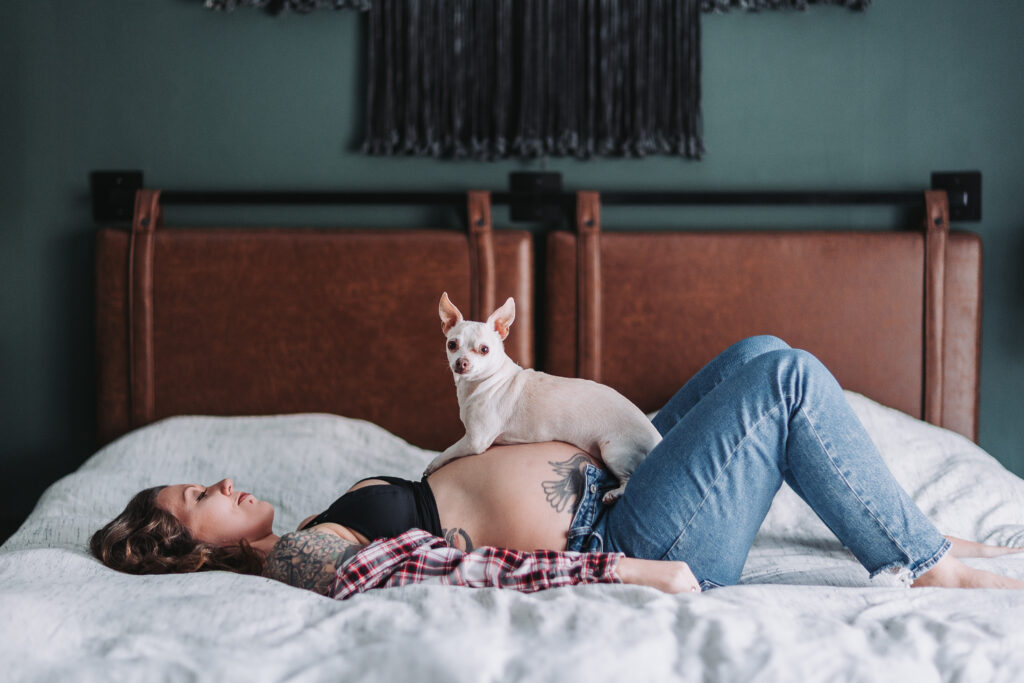 Pregnant woman lies on her bed with a small dog perched on her bump during her Minneapolis maternity photo session