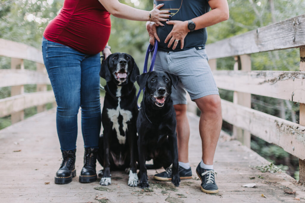A pregnant woman, her partner, and their two dogs pose in a funny way during their maternity photoshoot